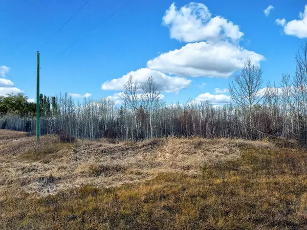 Rural Woodlands County, AB T0E 1N0,Lot 1, Willowside Estates