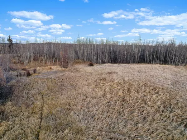 Rural Woodlands County, AB T0E 1N0,Lot 1, Willowside Estates