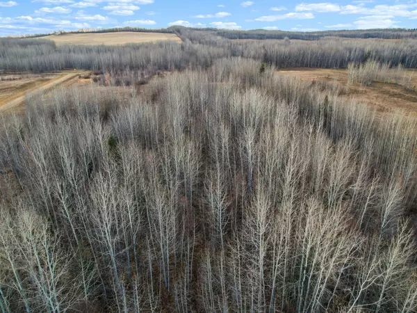 Rural Woodlands County, AB T0E 1N0,Lot 1, Willowside Estates