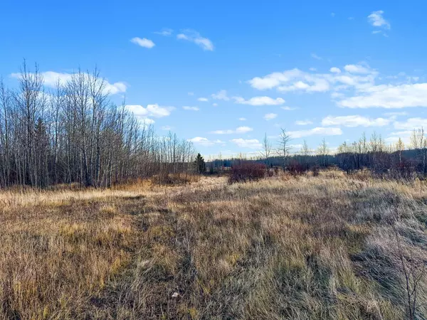 Rural Woodlands County, AB T0E 1N0,Lot 3, Willowside Estates