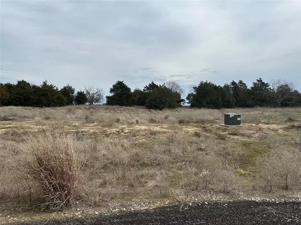 Celeste, TX 75423,Lot 16 Maple Road