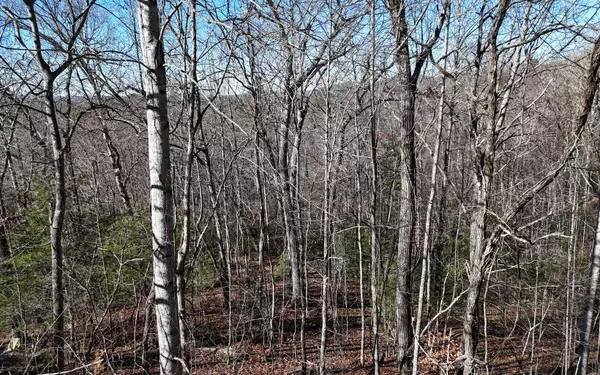 Blairsville, GA 30512,LOT37 Mountain Valley Lane