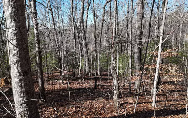 Blairsville, GA 30512,LOT37 Mountain Valley Lane