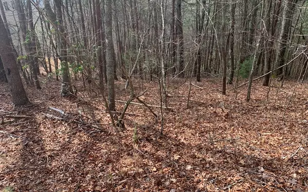 LOT20 Wolf Ridge Lane, Murphy, NC 28906