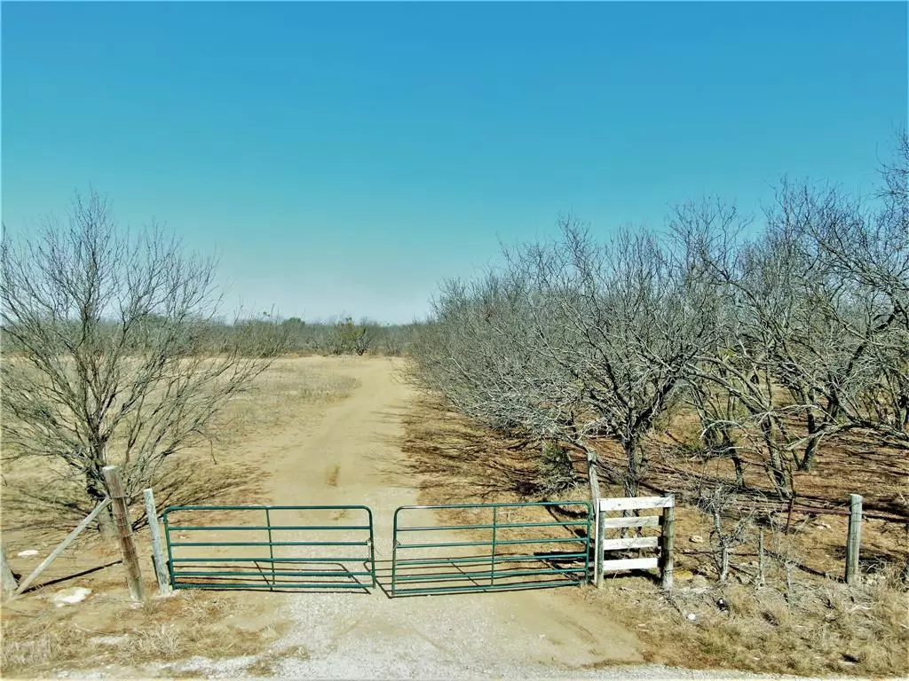 Bangs, TX 76823,TBD County Road 163