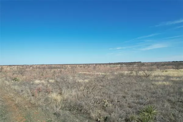 Anson, TX 79501,TBD County Road 364