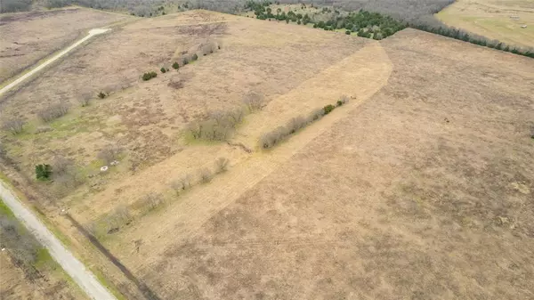 Pecan Gap, TX 75469,LOT 91, 1625 Fm 904 S