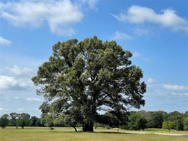 Lot 5 Rains County Road 2420, Alba, TX 75410