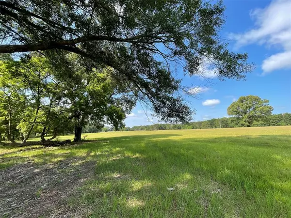 Alba, TX 75410,Lot 5 Rains County Road 2420