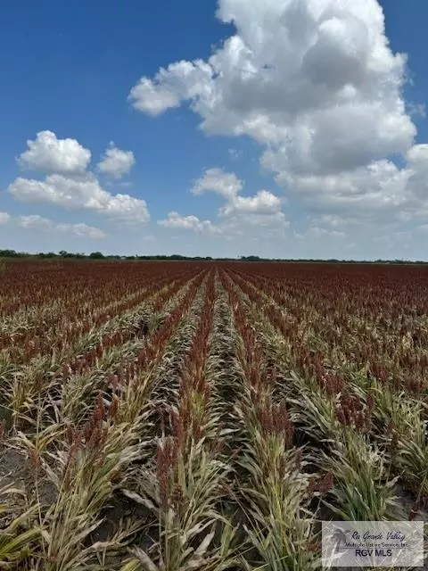 Rio Hondo, TX 78583,34.42 Acres FM 345