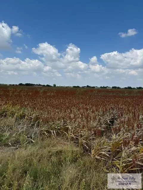 Rio Hondo, TX 78583,34.42 Acres FM 345