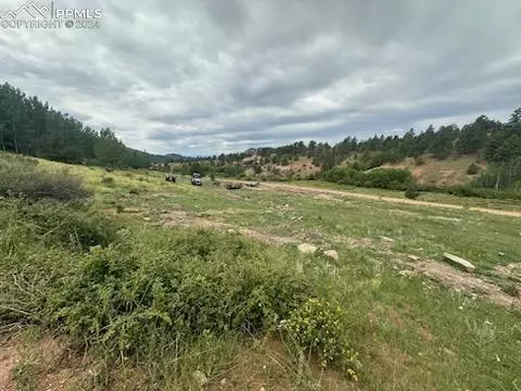 Cripple Creek, CO 80813,1156 Anges DR