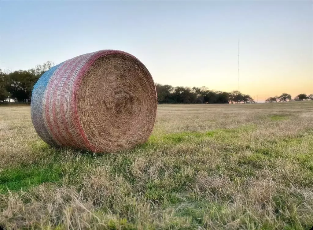 Collinsville, TX 76233,TBD W Line Road