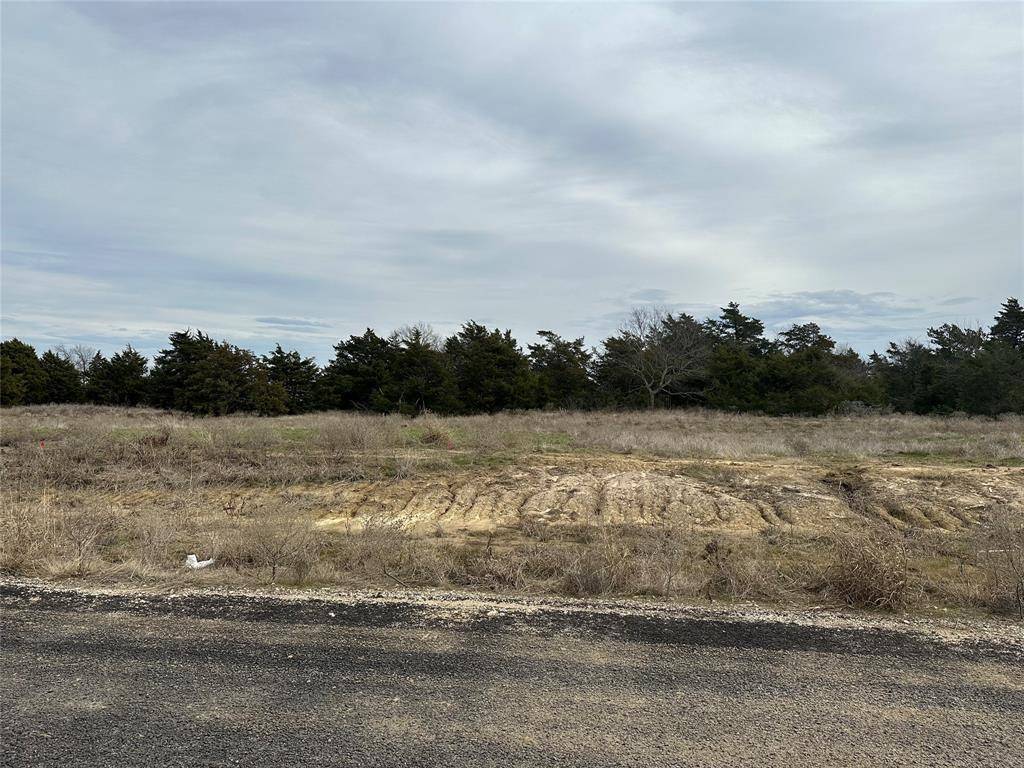 Celeste, TX 75423,Lot 17 Maple Road