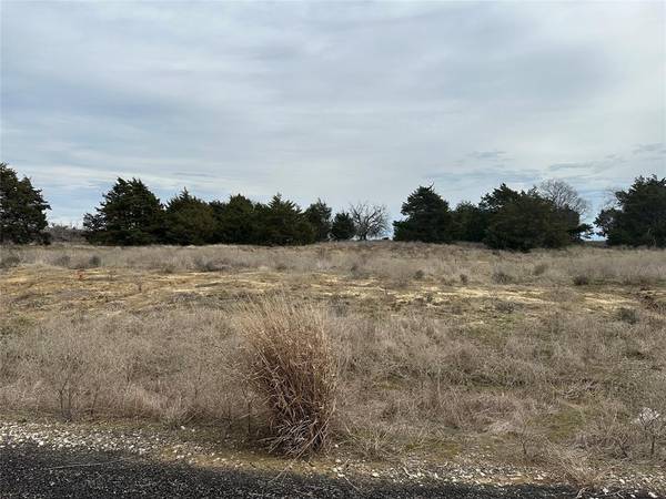 Celeste, TX 75423,Lot 16 Maple Road