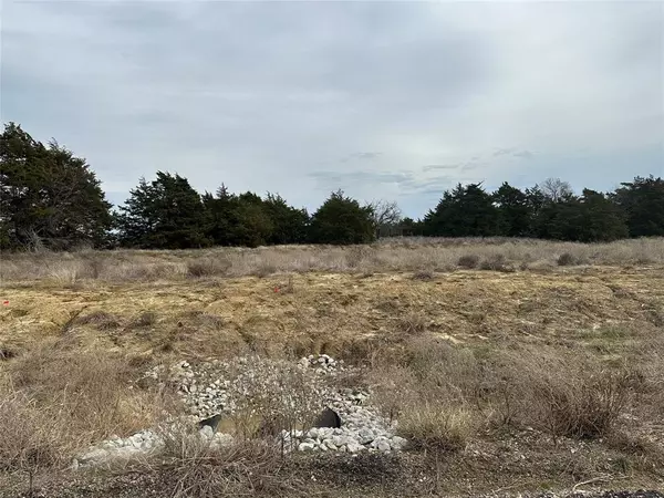 Celeste, TX 75423,Lot 16 Maple Road