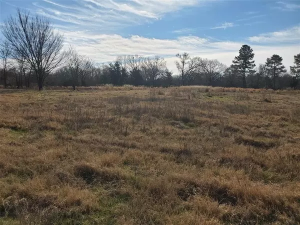 Emory, TX 75440,LOT 8 RS County Road 1140