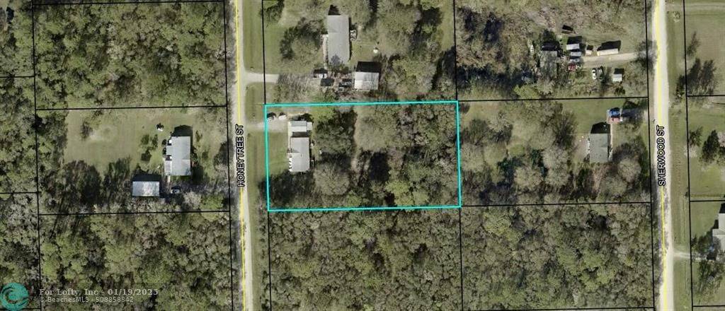 Bunnell, FL 32110,1167 Honeytree