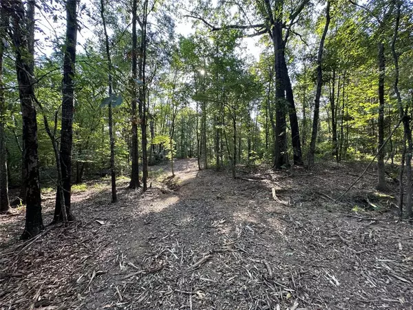 Gilmer, TX 75644,2nd Tract 10Ac Fm 852