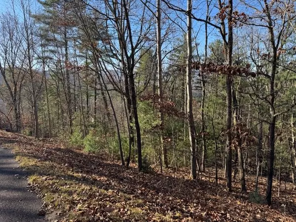 Blairsville, GA 30512,Lot 51 Sunny View Drive