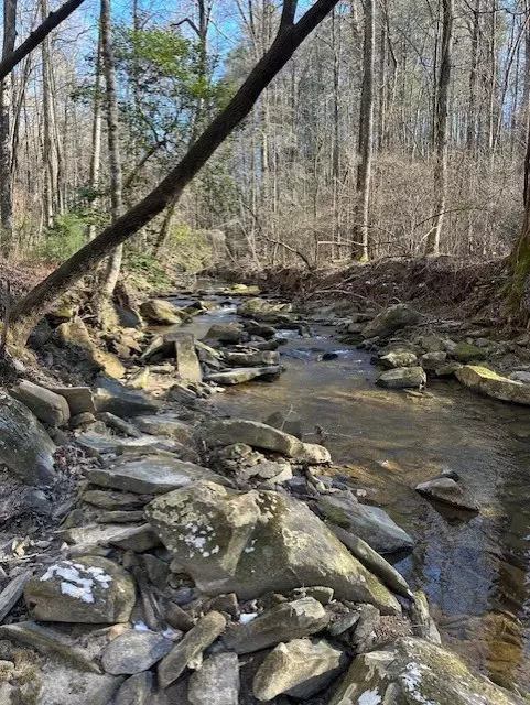 Ellijay, GA 30536,0 Clear Creek Preserve Way