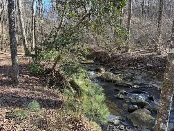 Ellijay, GA 30536,0 Clear Creek Preserve Way