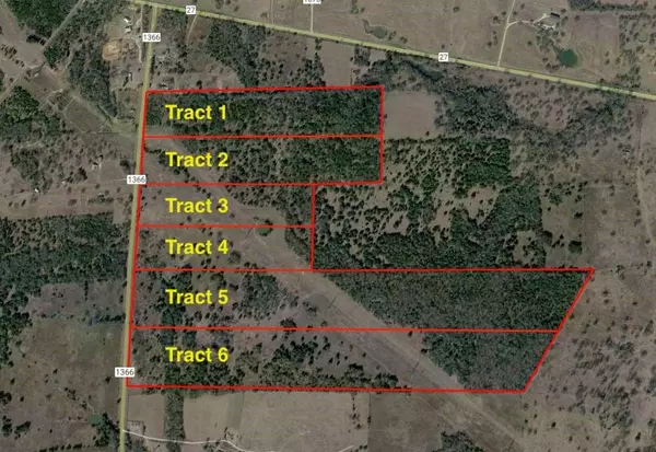 Wortham, TX 76693,Tract 5 Fm-1366