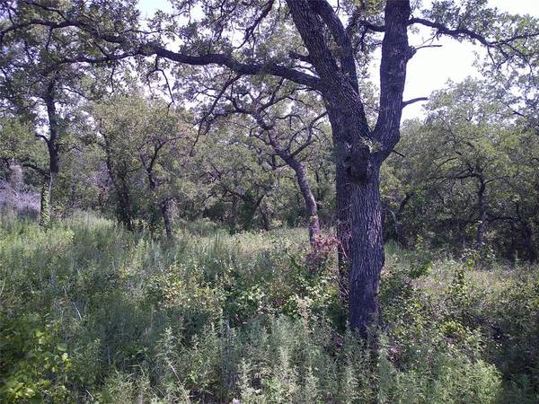 33 AC N Mason, Perrin, TX 76486