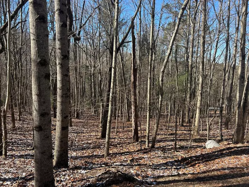 Lot 16 Deer Run Road, Blairsville, GA 30512