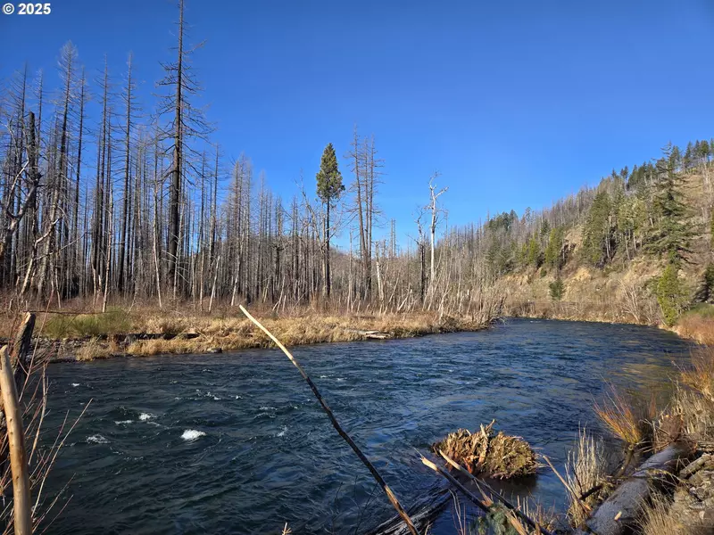 Gamby Ln, Blue River, OR 97413