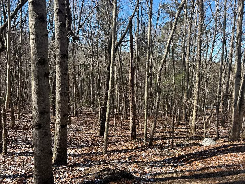 Blairsville, GA 30512,Lot 16 Deer Run Road