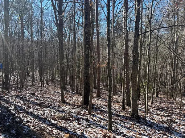 Blairsville, GA 30512,Lot 16 Deer Run Road