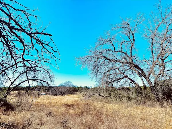 Brownwood, TX 76801,TBD Feather Bay Drive