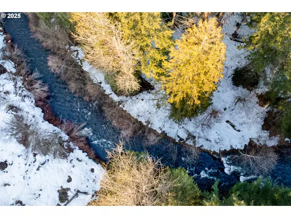 Trout Lake, WA 98650,96 MOUNT ADAMS RD