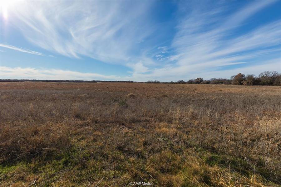 TBD-Lot 1 County Road 358, Anson, TX 79501