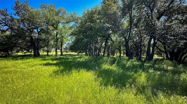 Palo Pinto, TX 76484,TBD 74 Highway 180