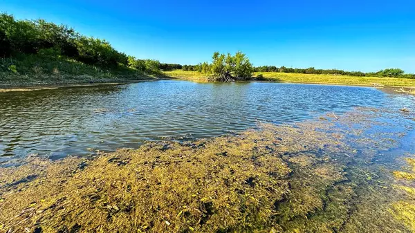 Palo Pinto, TX 76484,TBD 74 Highway 180