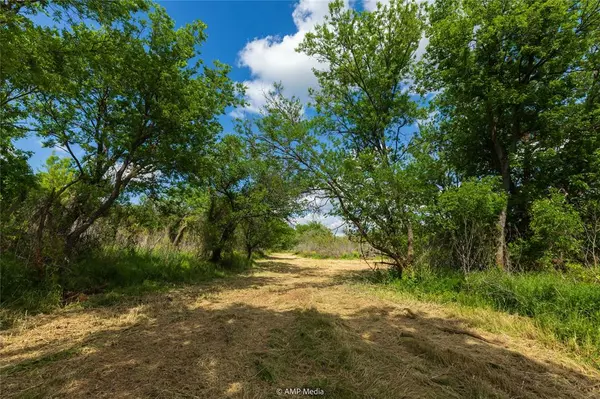 Abilene, TX 79601,LOT 3 TBD CR 327