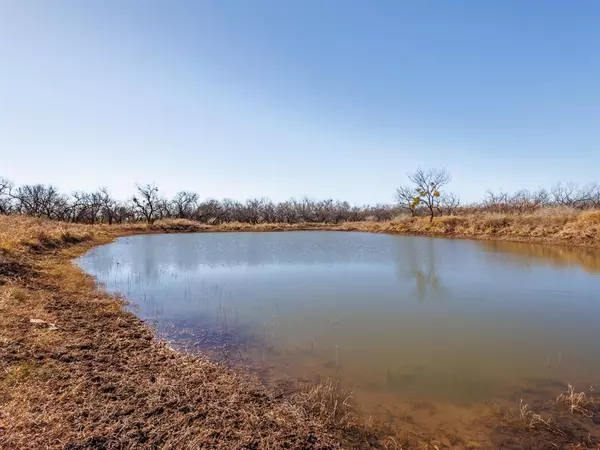 Coleman, TX 76834,351 CR 126