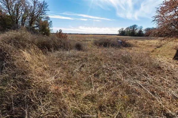 Anson, TX 79501,TBD-Lot 1 County Road 358