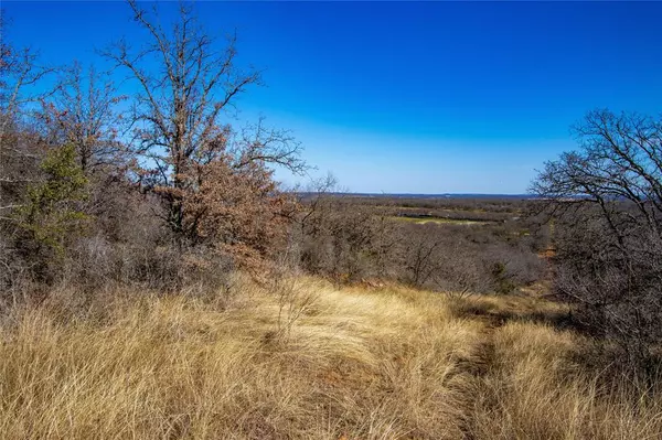 Mingus, TX 76453,Lot 31 Tababanica Court