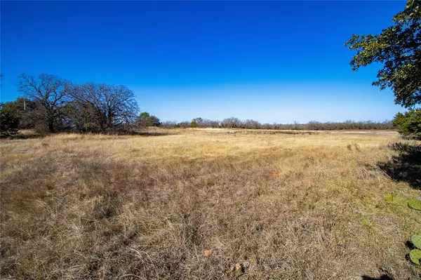 Mingus, TX 76453,Lot 31 Tababanica Court