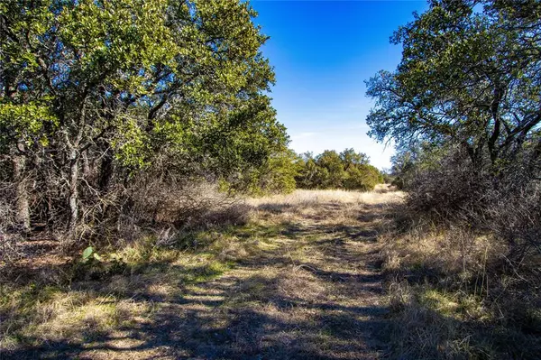 Mingus, TX 76453,Lot 31 Tababanica Court