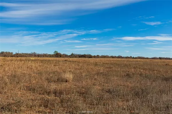 Anson, TX 79501,TBD-Lot2 County Road 358