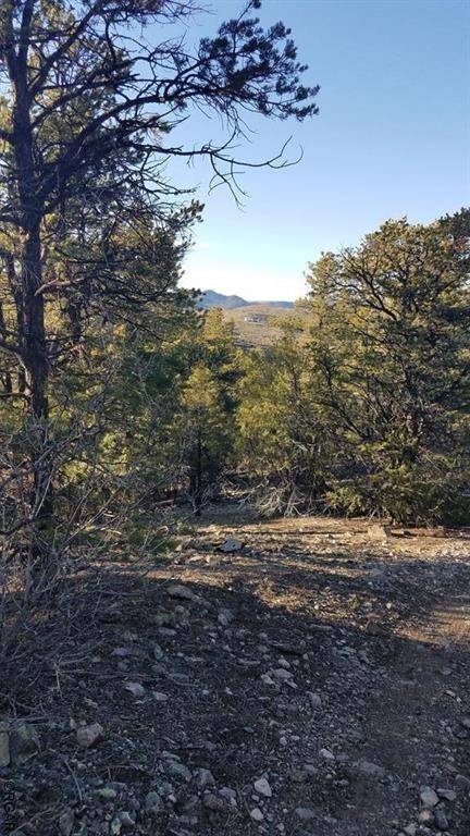 TBD 34th  TRL, Cotopaxi, CO 81223