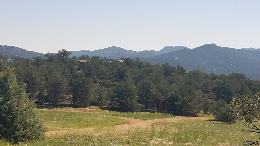 178 Texas Creek  LN, Texas Creek, CO 81223