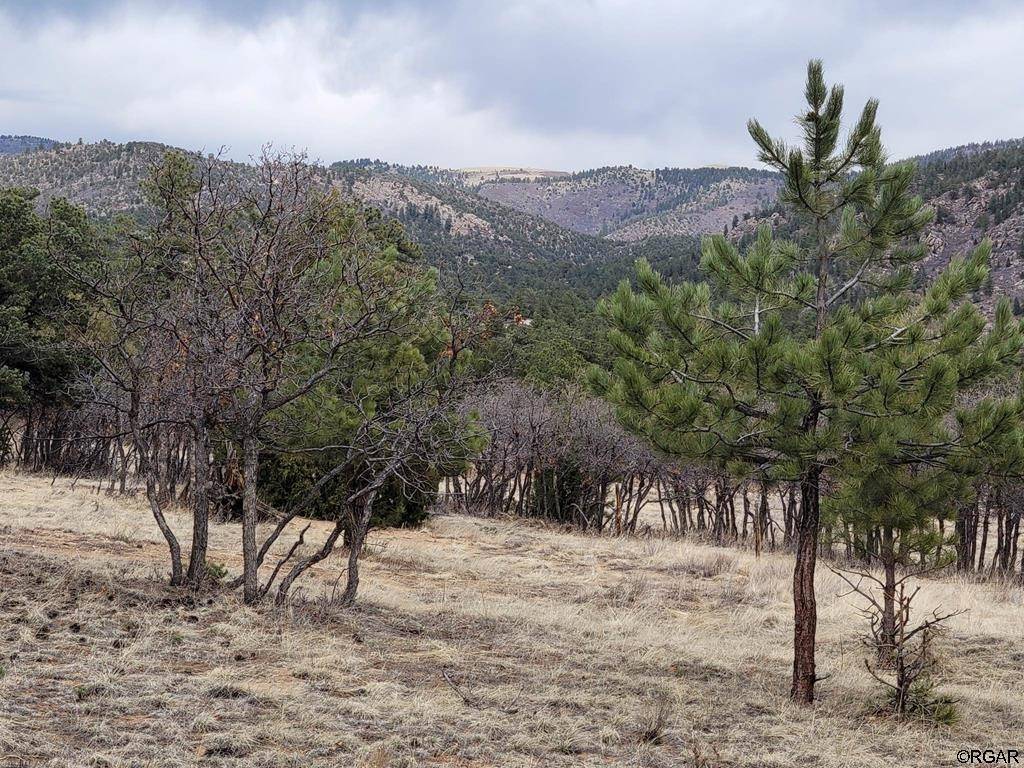 L37 Bird Point  DR, Cotopaxi, CO 81223