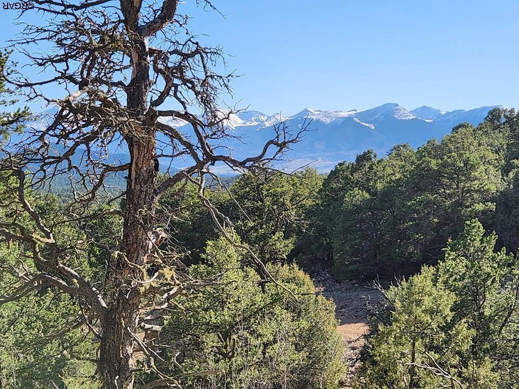 1214 Kevin  DR, Texas Creek, CO 81223