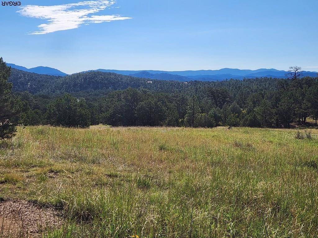 TBD MB 36th  TRL, Cotopaxi, CO 81223