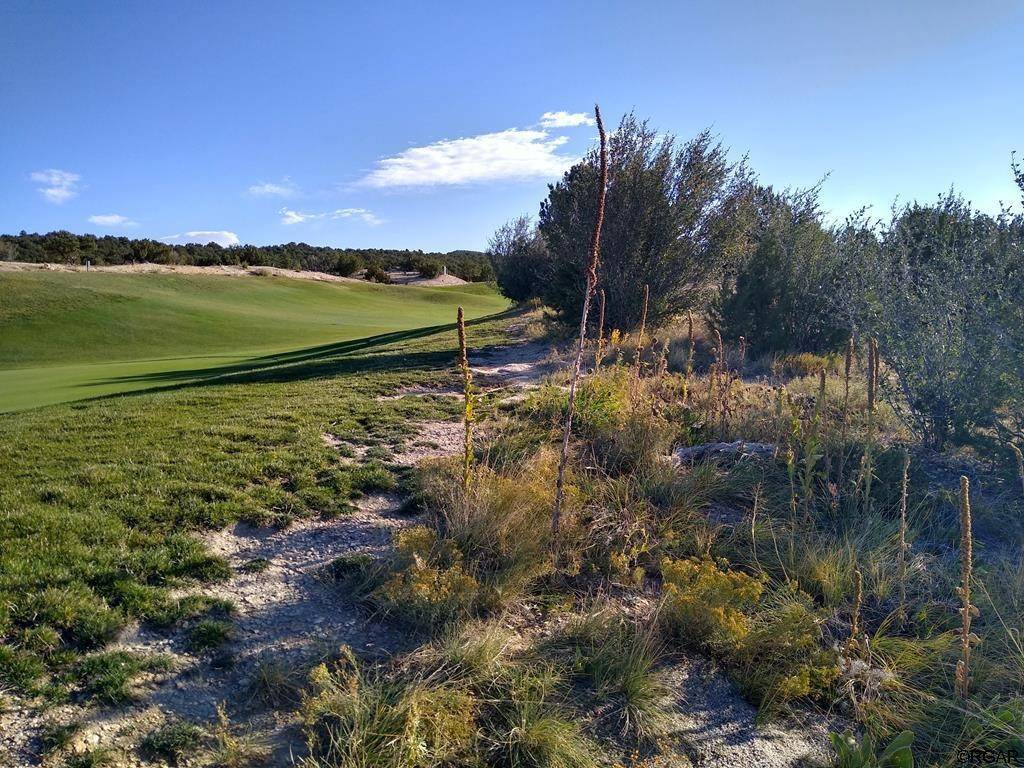 3555 Saddle  DR, Canon City, CO 81212